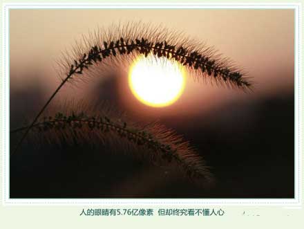 几多风雨,我心依然-唯美小站